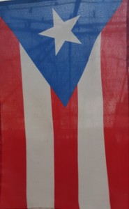Puerto Rican Flag 2